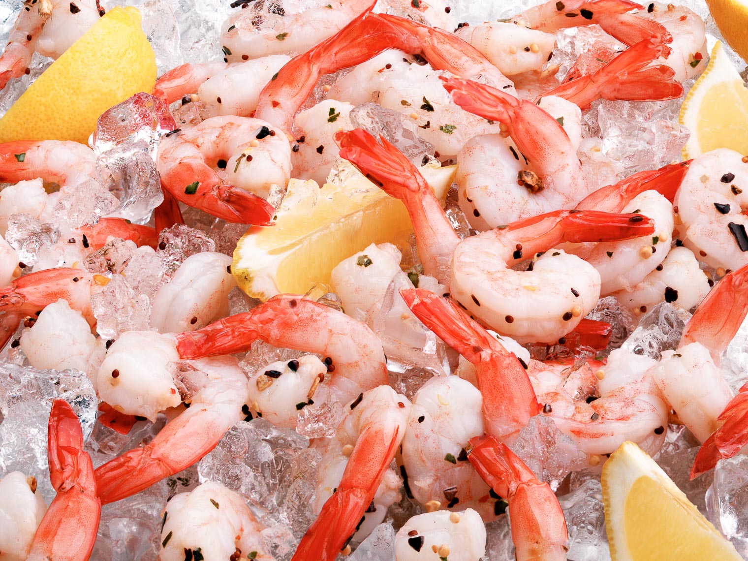 food_mosrie_web_017_mark_food_shrimp