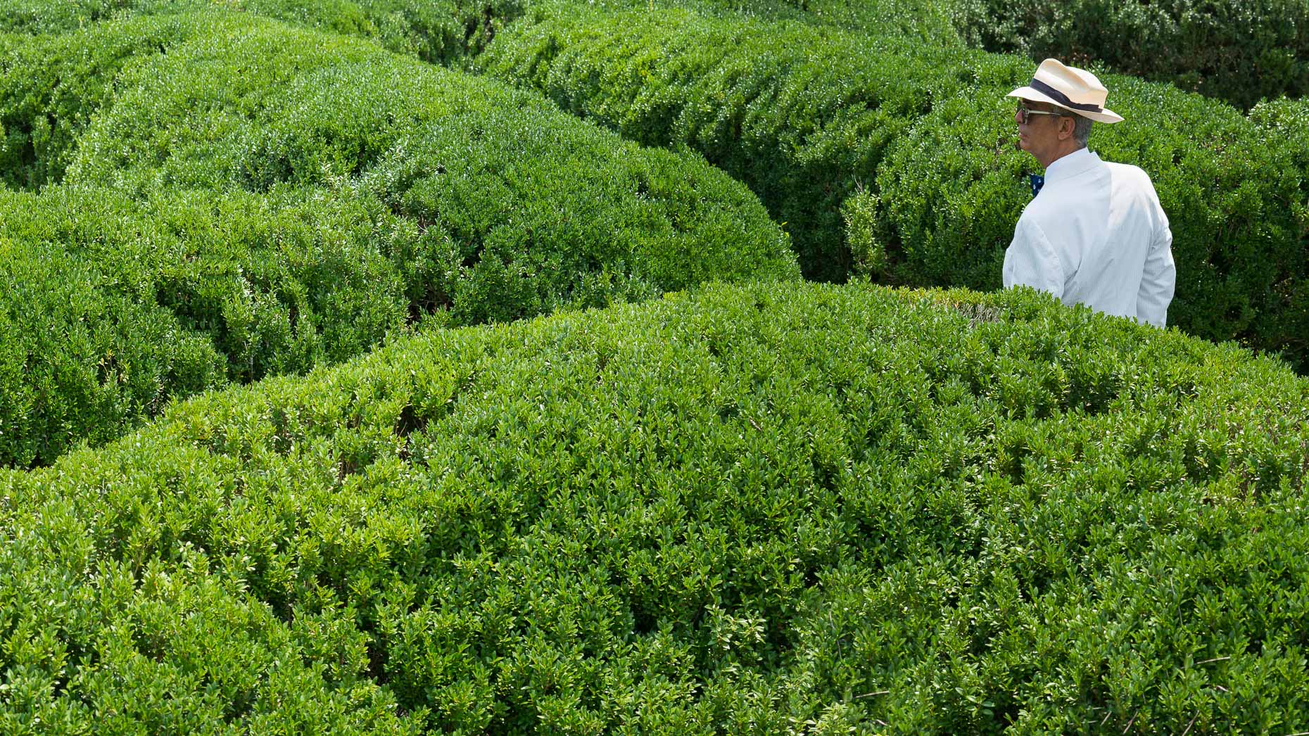 southlight_web_006_nico_hedges